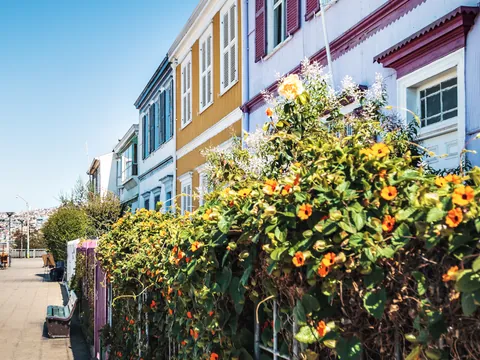 El Paseo de Atkinson destaca por sus coloridas casas, un sello de identidad único de Valparaíso.
