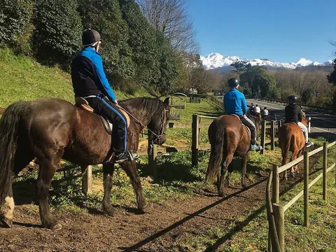paseo a Caballo Asturias Arriondas Precios Picos de Europa