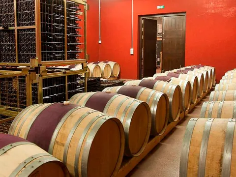 visita Bodega Verderrubi Cata Aperitivo Valladolid Viñedo Enoturismo Vinos Castilla León