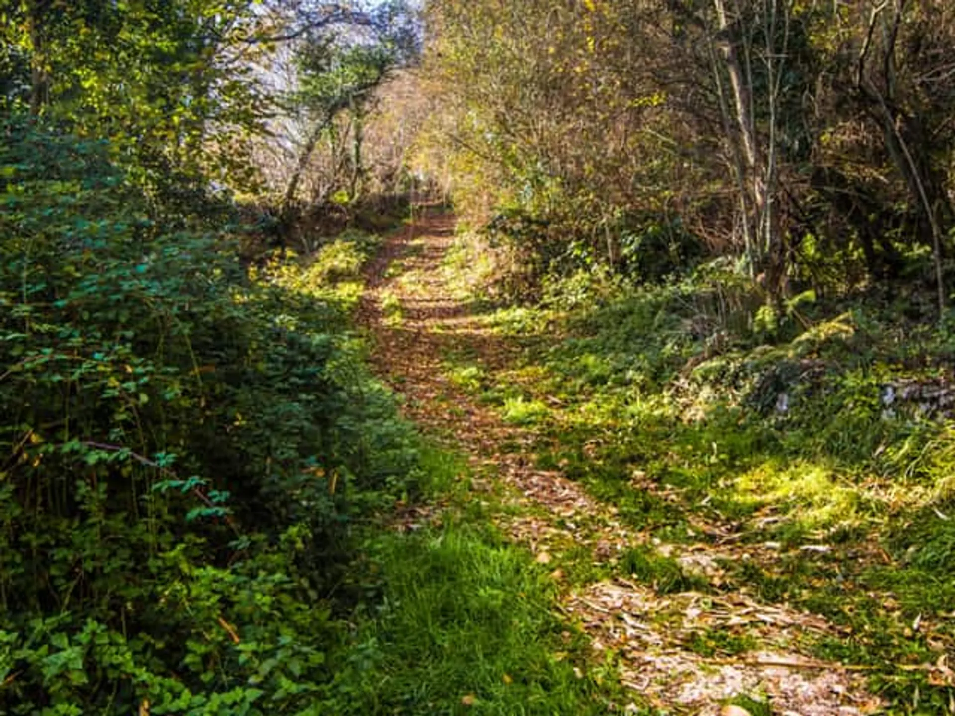 Ruta Peñafrancia en Gijón-Sendas verdes Gijón-Rutas en Gijón-Qué hacer en Gijón-Gijón-Guía de Viajes Buendía Tours