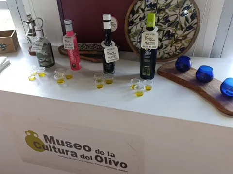 Taller de cata de aceites, incluido en esta experiencia de oleoturismo en la Hacienda La Laguna.