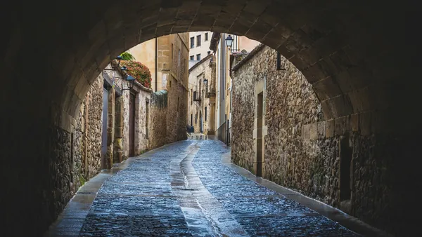 Calle empedrada de Soria