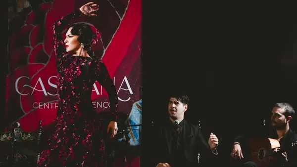 Show Flamenco Granada