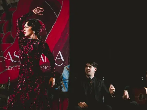 Show Flamenco Granada