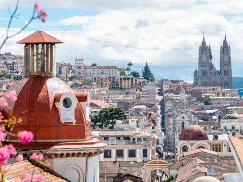 free-walking-tour-quito-basilica-voto-nacional_0.jpg
