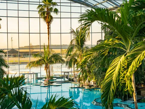 Vegetación rodeando a la piscina principal de las termas de Bucarest, a donde te lleva esta excursión.