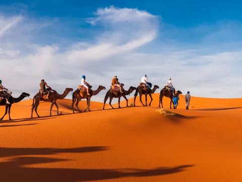 paseo Camello excursión privada Desierto Zagora desde Marrakech