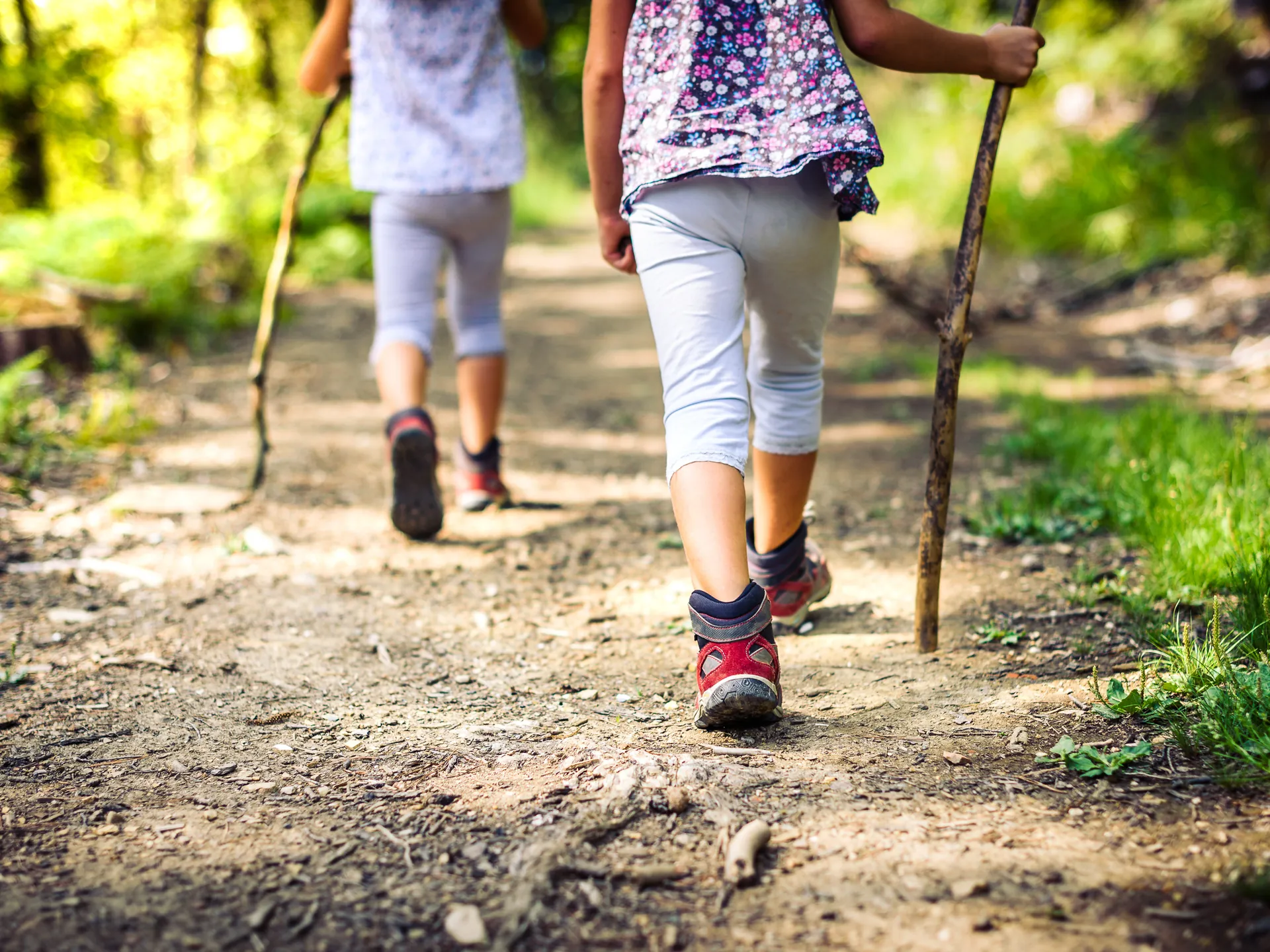 Qué hacer en Sierra Nevada con niños - Guía de viaje Sierra Nevada - Buendía