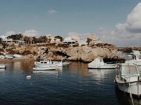 Barcos amarrados en el puerto de Tabarca con la costa rocosa, palmeras y edificios en el fondo bajo un cielo azul.