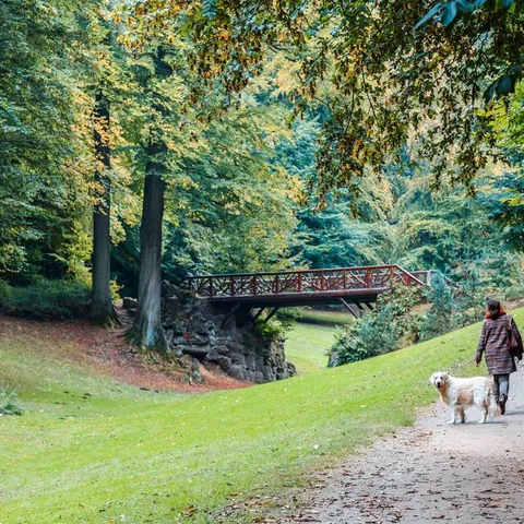 Visitando el Bois de la Cambre en Bruselas
