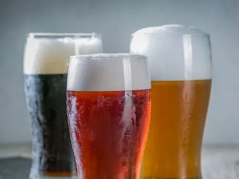 visita guiada Fabrica Cerveza Artesanal Valles Lopulo Brimeda Castilla León