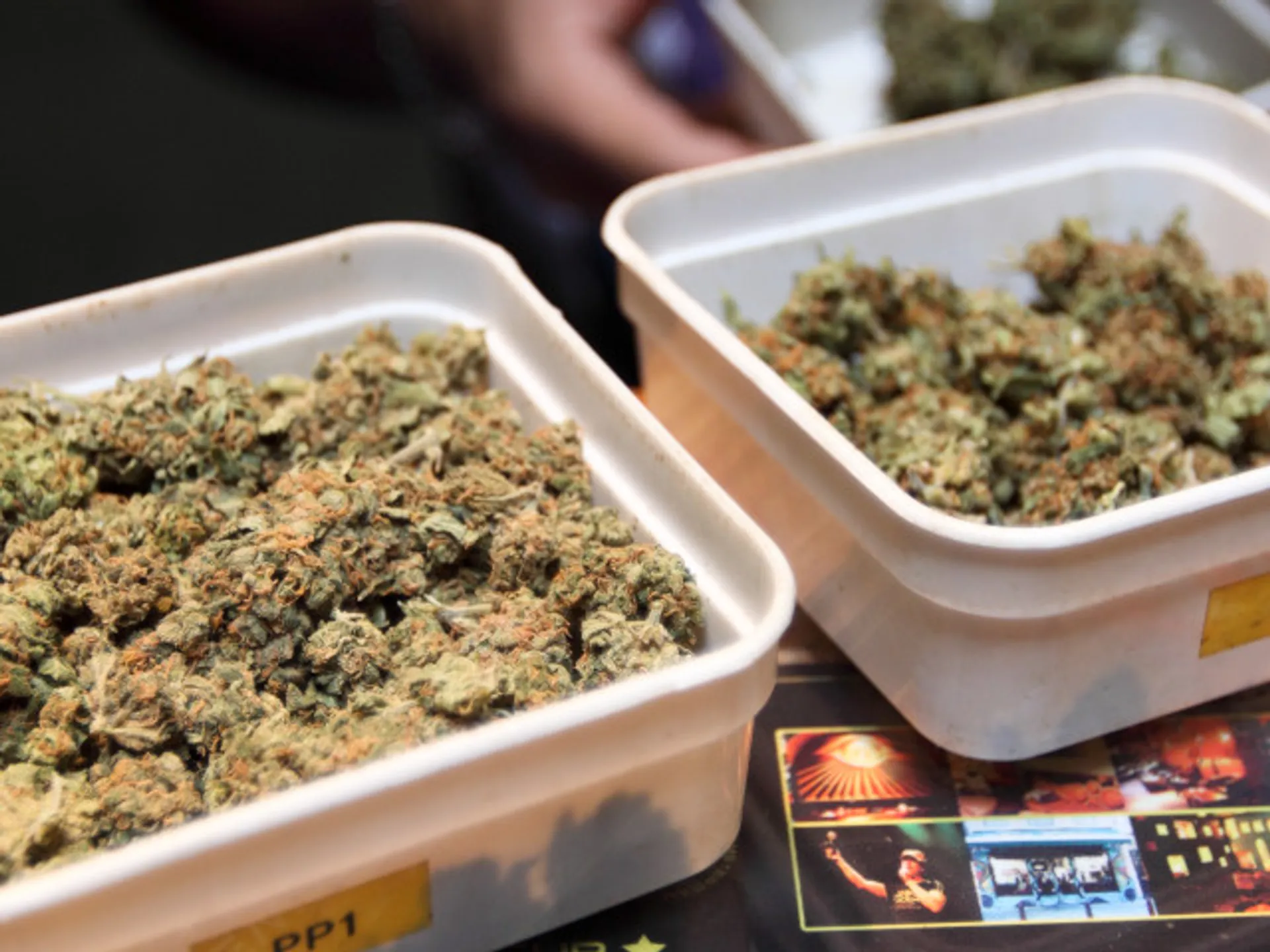 Recipientes de plástico de Cannabis en un Coffee Shop -Guía de viaje de Ámsterdam