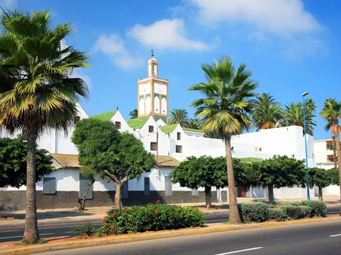 Palmeras visita guiada por Casablanca Marruecos