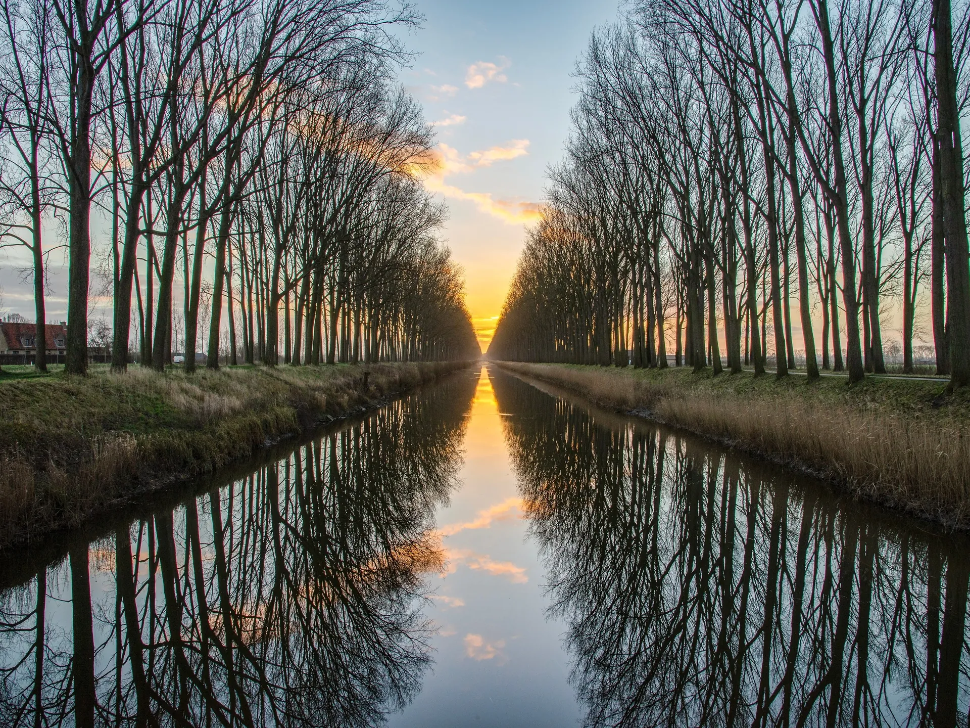 Damse vaart