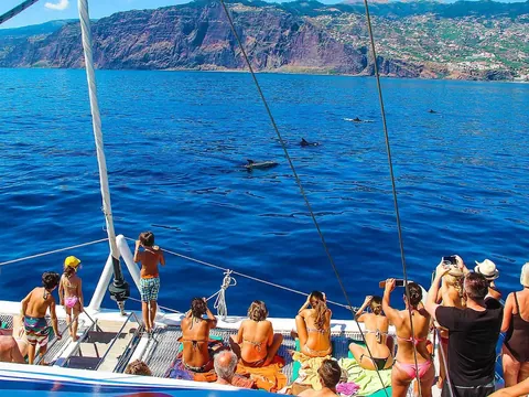 excursión 4x4 Madeira Funchal español Acantilados Valles Degustacion Vino Avistamiento Delfines Skywalk