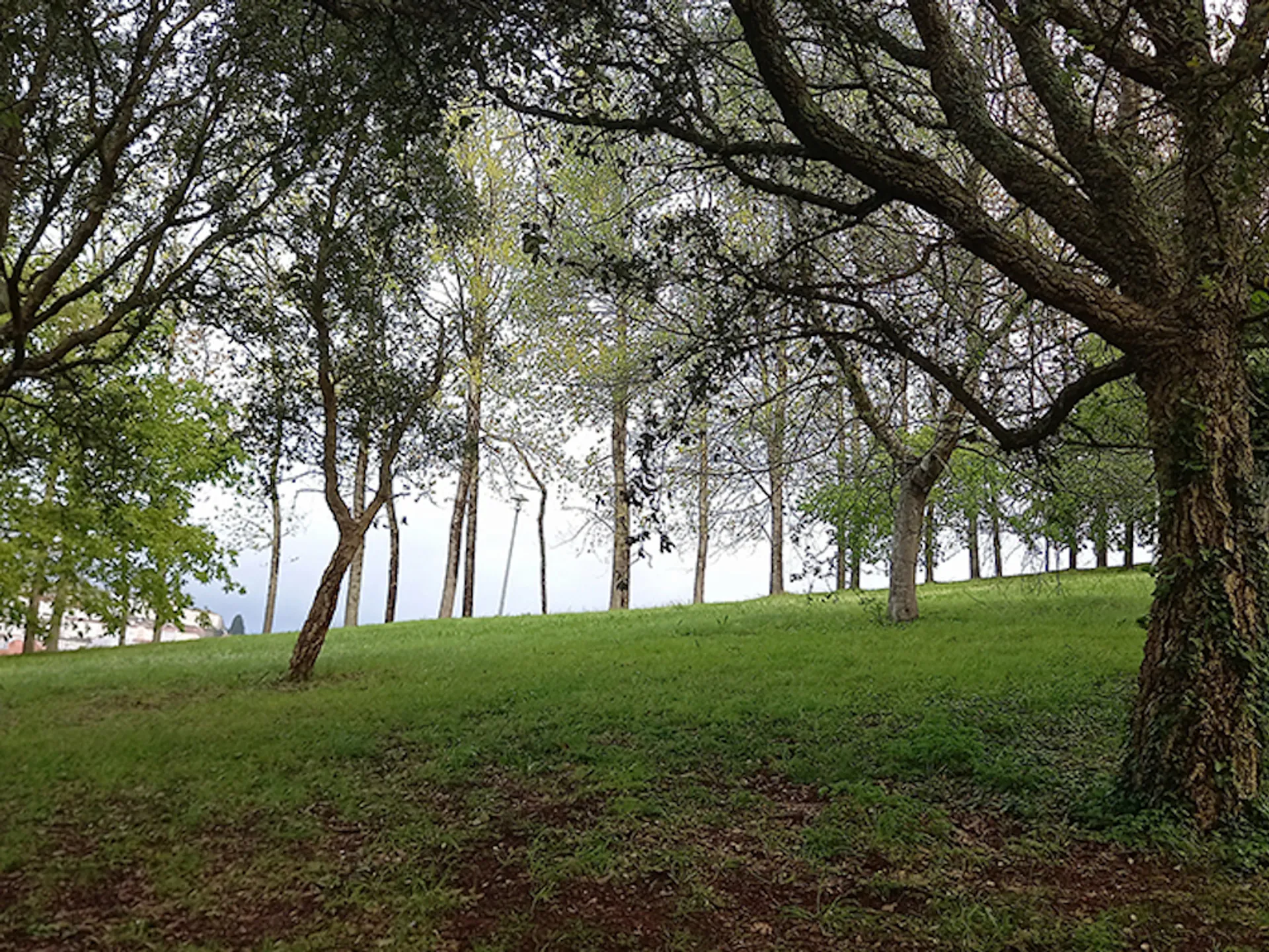 Parque de Carlomagno - Parques Santiago Compostela - Buendia Tours