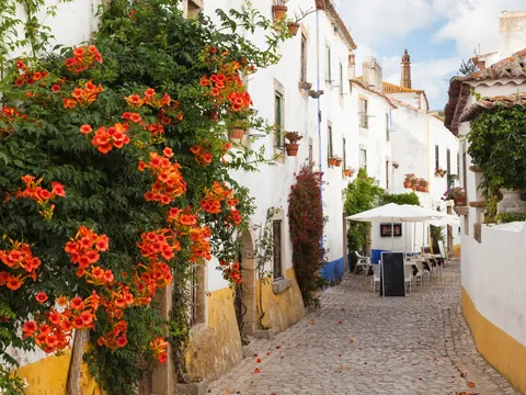Calle empedrada y casas en Óbidos, Portugal