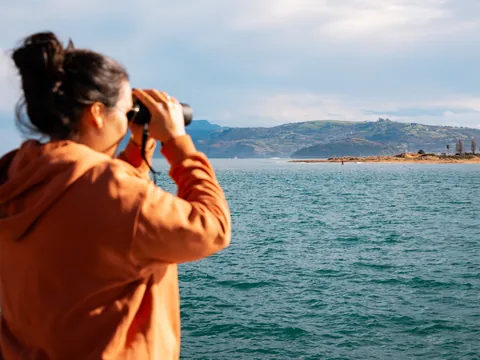 Excursión a Santoña con visita a una conservera y paseo en barco opcional desde Santander
