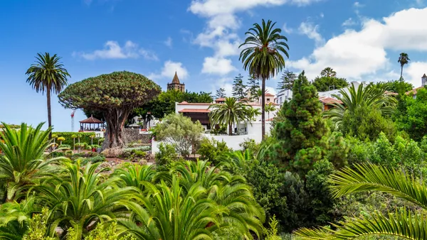 excursión Teide Icod Garachico Masca tour visita guiada Transporte Tenerife Sur islas Canarias