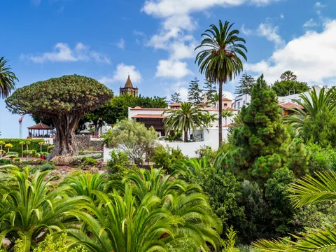 excursión Teide Icod Garachico Masca tour visita guiada Transporte Tenerife Sur islas Canarias