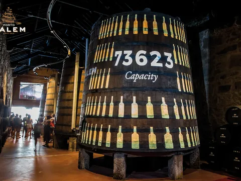Visita guiada y cata en la bodega de Cálem - buendía
