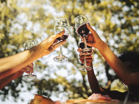 Podrás brindar con una degustación de 3 vinos incluidos en esta excursión.