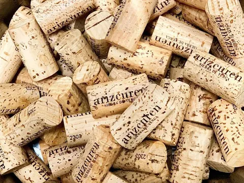 visita Bodega Arizcuren Urban Cellar Cata Vino Logroño la Rioja