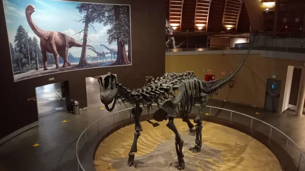 Esqueleto de dinosaurio en el Museo Jurásico de Asturias, Colunga
