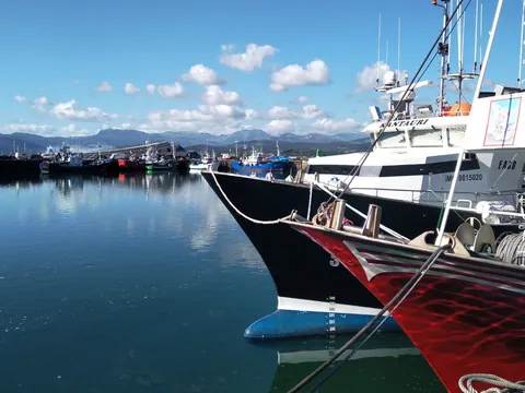 Visita guiada al puerto de Santoña y a la Galería del Arte de la Anchoa con degustación