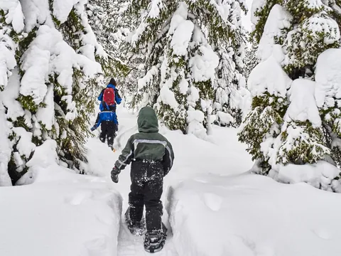 Ruta en raquetas de nieve por Laponia