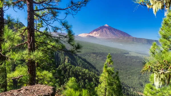 Ruta Secretos Tenerife Norte visita guiada excursión
