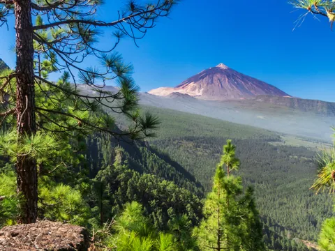 Ruta Secretos Tenerife Norte visita guiada excursión