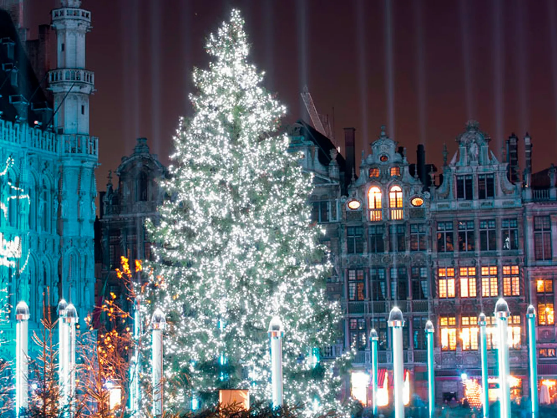 Árbol de Navidad en la Grand Place de Bruselas - Los mejores Mercadillos de Navidad en Europa 2022 - Blog - Buendía Tours 