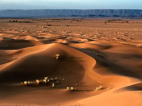 desierto-zagora-excursion-2-dias-desde-marrakech-en-español.jpg