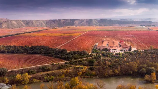 visita Cata Bodega Finca Valpiedra Logroñocata Vino Viñedo Enoturismo la Rioja