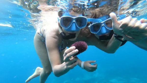 Iniciacion Snorkel Caleta Adeje Reserva natural Protegida Esnorquel Tenerife Canarias