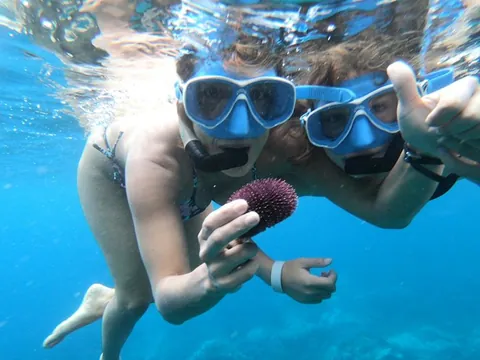 Iniciacion Snorkel Caleta Adeje Reserva natural Protegida Esnorquel Tenerife Canarias