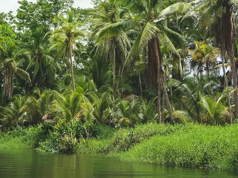 Safari en Punta Cana