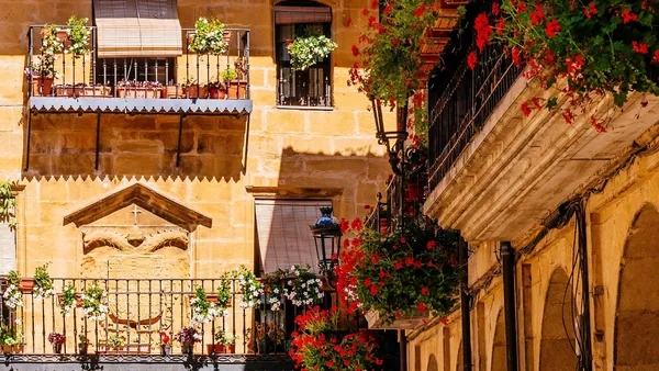 visita guiada Laguardia Cuevas Dorretxe País Vasco