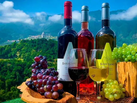 excursión 4x4 Madeira Bodegas Cata Vino Skywalk Cabo Girao Funchal
