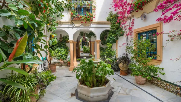 visita guiada Patios Córdoba