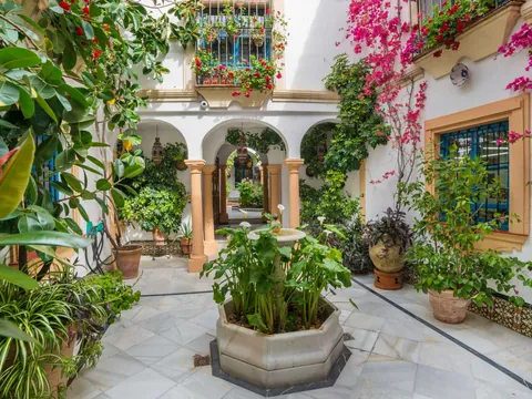 visita guiada Patios Córdoba