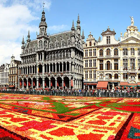 La Carpeta de Flores en la Grand Place de Bruselas-Fin de semana en Bruselas , Bélgica en 48 h