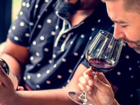 visita Cata Bodega Finca Valpiedra Logroñocata Vino Viñedo Enoturismo la Rioja