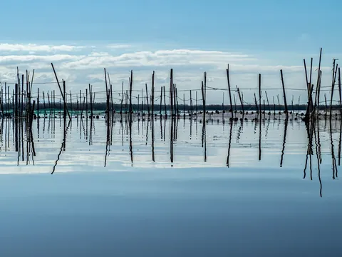 Redes de pesca tradicionales reflejadas en el agua de la Albufera de Valencia.