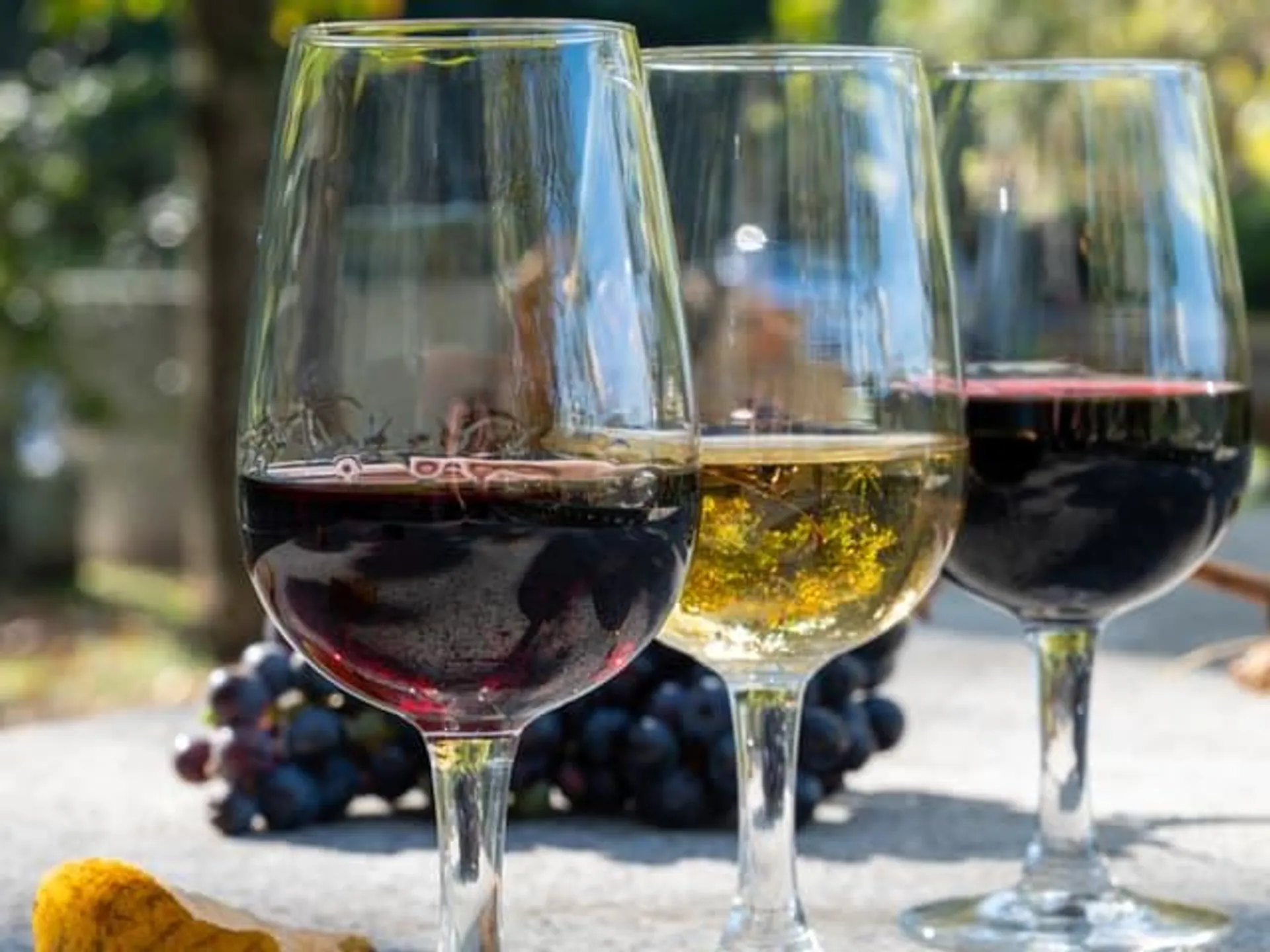 Copas de vino - Las mejores Bodegas de Oporto - Blog - Buendía Tours