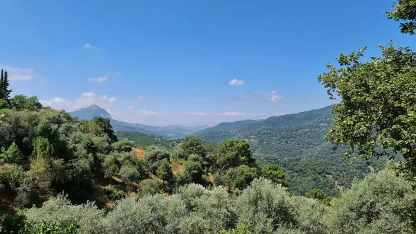 excursión Sierra Bermeja Rio Gneal Eco tour