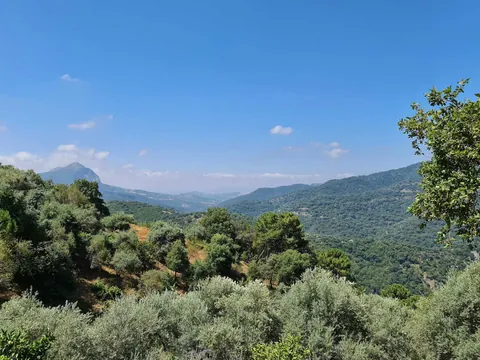 excursión Sierra Bermeja Rio Gneal Eco tour