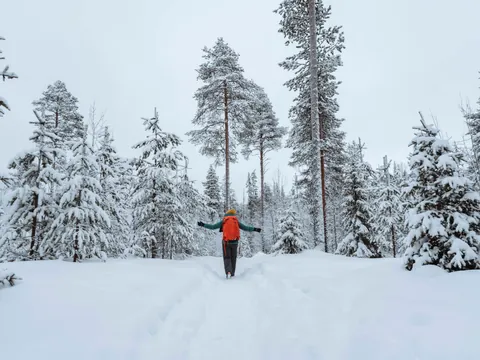 Persona caminando por un sendero nevado en medio de un bosque cubierto de nieve, con mochila naranja y ropa de invierno, en un paisaje invernal ártico.