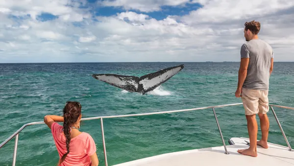 Avistamiento Ballenas Bahia Samana Punta Cana excursión República Dominicana